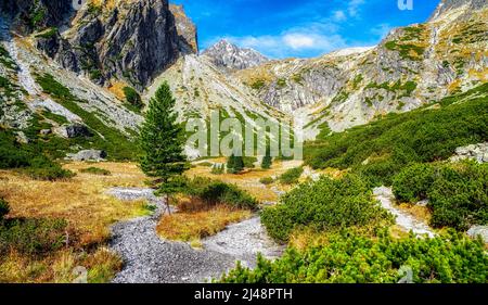 Magnifique paysage de montagne. Vallée Mala Studena dolina dans les montagnes des Hautes Tatras, Slovaquie Banque D'Images