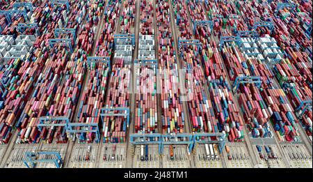 QINGDAO, CHINE - le 13 AVRIL 2022 - des navires de cargaison travaillent au terminal à conteneurs de Qianwan du port de Qingdao, dans la province de Shandong, en Chine orientale, le 13 avril 2022 Banque D'Images