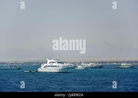 Beaucoup de yachts blancs amarrés attendent les touristes pour le voyage en bateau. Vacances sur la mer Rouge, station, vacances, loisirs et aventure, voyage. Hurghada, E Banque D'Images