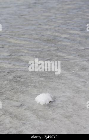 Eau peu profonde recouverte de cristaux de sel aux Flats de sel de Jan Thiel sur l'île des caraïbes de Curaçao Banque D'Images