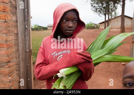 Esther Nyiraminana avec des feuilles pour un projet de tissage scolaire, village d'Akanynya, secteur Mbazi, district de Huye. Photo de Mike Goldwater Banque D'Images