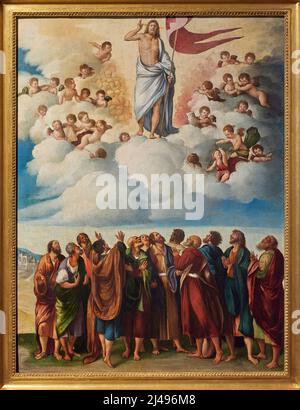 Ascensione di Cristo con i dodici apostoli - olio su tavola - pittore veneto ferrarese della prima metà del XVI secolo - Ferrara, Pinacoteca Naziona Banque D'Images