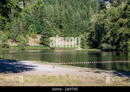 Une vue magnifique sur le paysage à Ike Kinswa SP, Washington Banque D'Images