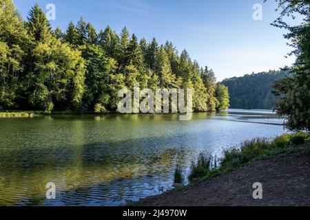 Une vue magnifique sur le paysage à Ike Kinswa SP, Washington Banque D'Images