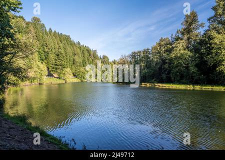 Une vue magnifique sur le paysage à Ike Kinswa SP, Washington Banque D'Images