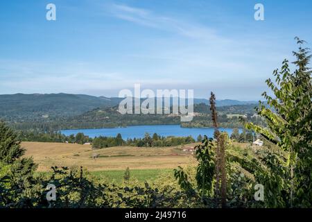 Une vue magnifique sur le paysage à Ike Kinswa SP, Washington Banque D'Images