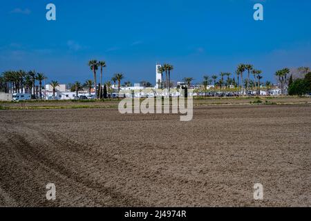 Poblenou del Delta, Delta de l'Ebre, province de Tarragone, Catalogne, Espagne. Banque D'Images