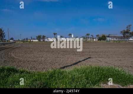 Poblenou del Delta, Delta de l'Ebre, province de Tarragone, Catalogne, Espagne. Banque D'Images