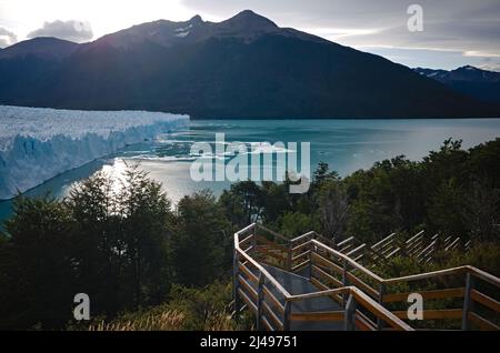 Escalier traversant la forêt magellanique avec vue sur le glacier Perito Moreno, lac Lago Argentino et le mont Cerro Asunción dans le parc national de Los Glaciares Banque D'Images