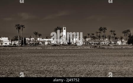 Poblenou del Delta, Delta de l'Ebre, province de Tarragone, Catalogne, Espagne. Banque D'Images