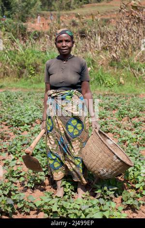 Karita Kayirangwa, 61 ans, présidente de la coopérative Abadasubirinyuma, village de Kavumo, cellule de Rusenge, secteur de Rusenge, district de Nyaruguru, Province du Sud. Elle est veuve, qui a perdu son mari en 1987. Elle vit avec sa dernière fille née, Rolance Mukankusi, 24 ans, deux enfants de sa fille première née et un enfant de son neveu dont les parents sont morts d'aides. Photo de Mike Goldwater Banque D'Images