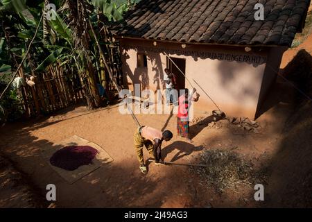 Emmanuel Nkundimana, 27 ans, femme Claudine Uwamahoro, 23 ans et enfant. Village de Karaba, cellule de Mwumba, secteur de Busengo, district de Gakenke. Ici, il apporte une partie de sa récolte de haricots à partir de terres louées dans les marais. Il était orphelin, a perdu les deux parents en 1998 à 14 ans et s'est occupé de sa jeune sœur. Avant le programme, il avait l'habitude de travailler sur la terre d'autres personnes pour gagner assez pour manger. Avec le cochon qu'il a obtenu du programme il a vendu les porcelets et acheté une vache. Maintenant, il loue des terres à la ferme et a un compte d'épargne avec SACCO. Photo de Mike Goldwater Banque D'Images