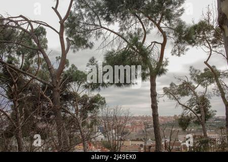 J'aime toujours revenir à Madrid pour profiter de la nature et de l'architecture Banque D'Images