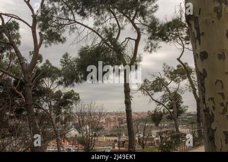 J'aime toujours revenir à Madrid pour profiter de la nature et de l'architecture Banque D'Images