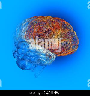 Cerveau, le lobe frontal est situé à l'avant de chaque hémisphère cérébral, il contient la plupart des neurones dopaminergiques dans le cortex cérébral Banque D'Images