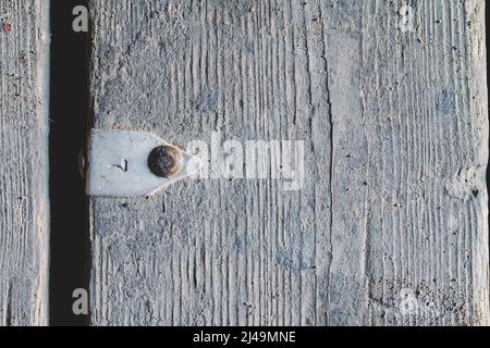 Une surface en bois gris avec une étiquette en aluminium clouée. Le numéro sept est gravé sur l'étiquette. Anciennes cartes rugueuses. La texture du bois. Banque D'Images