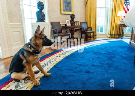 Le commandant Biden visite le Bureau ovale, le mercredi 16 mars 2022. (Photo officielle de la Maison Blanche par Adam Schultz) Banque D'Images