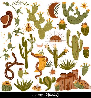 Plantes cactus mexicaines avec fleurs et aloès, serpent, araignée. Collection de plantes pickly désertiques. Illustration tropicale. Vecteur Illustration de Vecteur