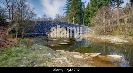 Pont en pierre à arche unique dans la vallée de l'Elan au pays de Galles Banque D'Images