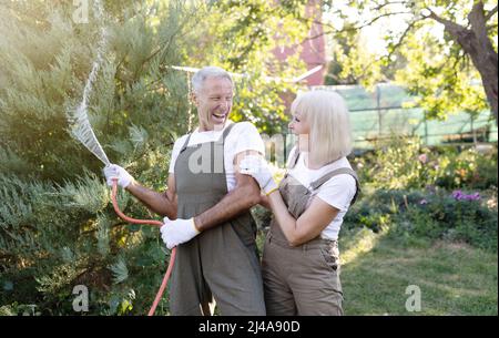 Les conjoints âgés espiègles s'amusent tout en arrossant les plantes avec un tuyau, jardinant ensemble dans leur cour Banque D'Images