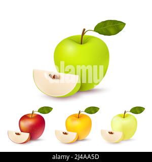 Ensemble de quatre pommes isolées réalistes de différentes couleurs pearmain chacun avec une feuille verte et un segment avec des ombres sur le blanc vecteur d'arrière-plan illustrati Illustration de Vecteur