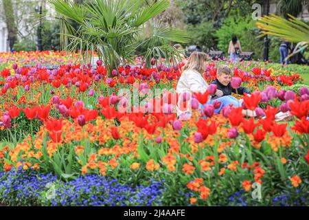 Londres, Royaume-Uni. 13 avril 2022. Les gens admirent et photographient les magnifiques expositions de fleurs avec des tulipes et d'autres fleurs printanières à Whitehall Gardens, Westminster aujourd'hui, par une journée chaude et partiellement ensoleillée à Londres. Crédit : Imageplotter/Alamy Live News Banque D'Images