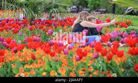 Londres, Royaume-Uni. 13 avril 2022. Les gens admirent et photographient les magnifiques expositions de fleurs avec des tulipes et d'autres fleurs printanières à Whitehall Gardens, Westminster aujourd'hui, par une journée chaude et partiellement ensoleillée à Londres. Crédit : Imageplotter/Alamy Live News Banque D'Images