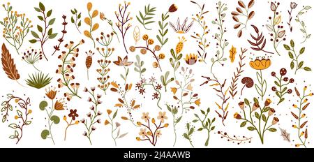 Collection botanique de fleurs sauvages, plantes de jardin, branches, fleurs, herbes, feuilles décoratives. Jardin botanique lumineux de style boho. Illustration vectorielle Illustration de Vecteur