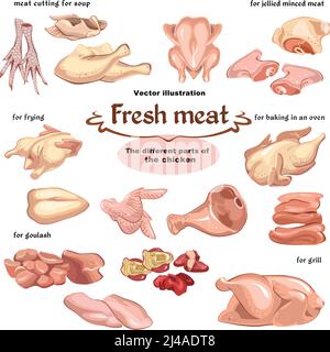 Ensemble de pièces de viande de poulet à croquis de couleur pour différents repas et illustration vectorielle isolée de la préparation de la vaisselle Illustration de Vecteur