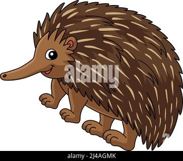 Motif animal Echidna Clipart coloré Illustration de Vecteur