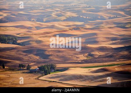 Une vue de la Palouse du haut de Steptoe Butte dans l'Est de Washington, USA Banque D'Images