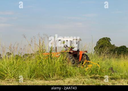 Goias, Goias, Brésil – 12 avril 2022 : un tracteur qui travaille au milieu d'une grande quantité d'herbe, avec le ciel en arrière-plan. Banque D'Images