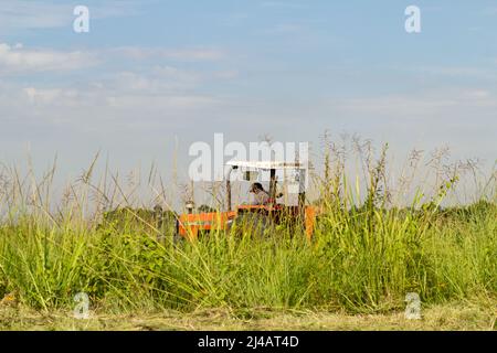 Goias, Goias, Brésil – 12 avril 2022 : un tracteur qui travaille au milieu d'une grande quantité d'herbe, avec le ciel en arrière-plan. Banque D'Images