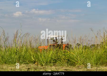 Goias, Goias, Brésil – 12 avril 2022 : un tracteur qui travaille au milieu d'une grande quantité d'herbe, avec le ciel en arrière-plan. Banque D'Images