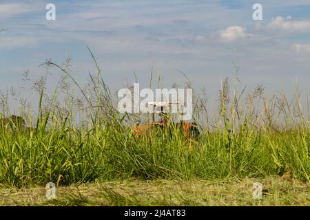 Goias, Goias, Brésil – 12 avril 2022 : un tracteur qui travaille au milieu d'une grande quantité d'herbe, avec le ciel en arrière-plan. Banque D'Images