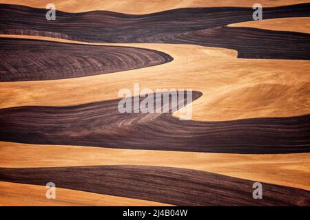 Une vue de la Palouse du haut de Steptoe Butte dans l'Est de Washington, USA Banque D'Images