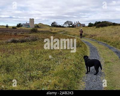 Un homme, regardé par un chien, regarde la maison de Snook (à droite) qui présente dans le drame de la criminalité télévisée Vera. Snook Tower à gauche. Banque D'Images