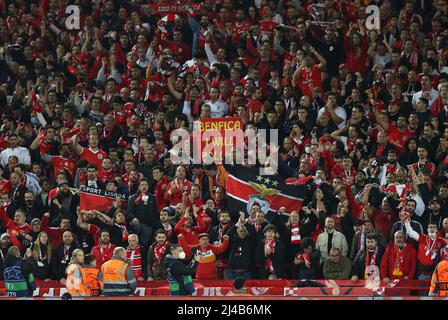 Liverpool, Angleterre, le 13th avril 2022. Fans de Benfica lors du match de la Ligue des champions de l'UEFA à Anfield, Liverpool. Crédit photo à lire: Darren Staples / Sportimage crédit: Sportimage / Alay Live News Banque D'Images