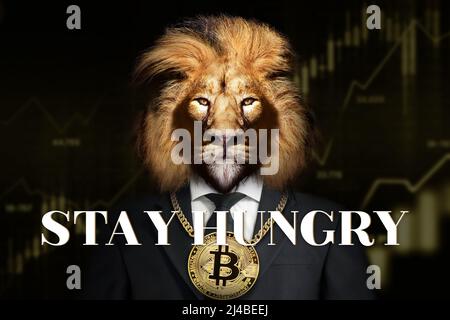 RESTEZ SOUS LE coup d'un LION AFFAMÉ avec Bitcoin autour de son cou, motivation Business Banque D'Images