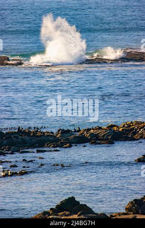 Oregon Coast, Coos Bay et North Bend aires de loisirs Banque D'Images