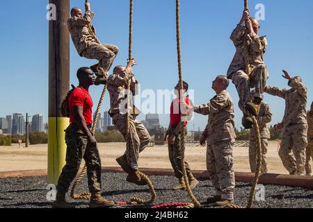 San Diego, Californie, États-Unis. 23rd mars 2022. Le corps des Marines des États-Unis recrute avec Charlie Company, 1st recrute Training Battalion, escalade d'une corde pendant une classe du Marine corps Martial Arts Program (MCMAP) au Marine corps Recruit Depot San Diego, le 23 mars 2022. À la suite du MCMAP, les recrues ont mené une formation physique, y compris une ascension de corde. Crédit : U.S. Marines/ZUMA Press Wire Service/ZUMAPRESS.com/Alamy Live News Banque D'Images