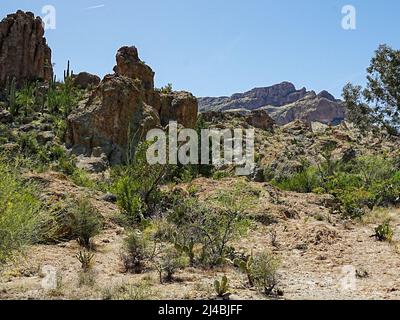 Les magnifiques formations rocheuses et les variétés impressionnantes de cactus près de la ville de Superior, Arizona, font pour des paysages variés Banque D'Images