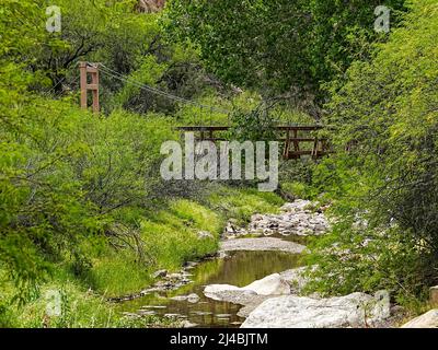 Le lent filet d'eau d'un ruisseau dans l'Arizona aride apporte la vie à un canyon éloigné Banque D'Images