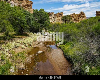 Le lent filet d'eau d'un ruisseau dans l'Arizona aride apporte la vie à un canyon éloigné Banque D'Images