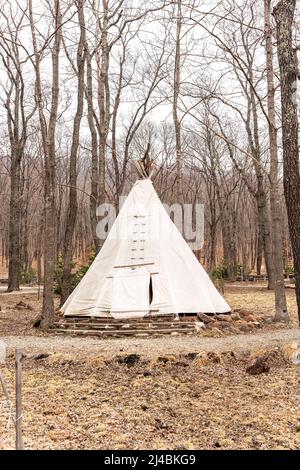 Site de glamping dans les bois, un après-midi calme. Photo de haute qualité Banque D'Images