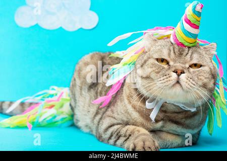 Adorable licorne de chat avec des nuages sur un fond bleu avec des nuages. Le concept de contes de fées, de mode, de chats drôles et doux, d'amour et de vacances Banque D'Images