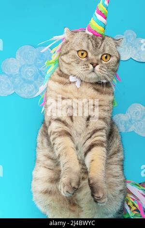 Adorable licorne de chat avec des nuages sur un fond bleu avec des nuages. Le concept de contes de fées, de mode, de chats drôles et doux, d'amour et de vacances Banque D'Images