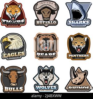 Étiquettes colorées pour animaux sauvages avec requin et aigle mammifères têtes en illustration vectorielle isolée de style vintage Illustration de Vecteur
