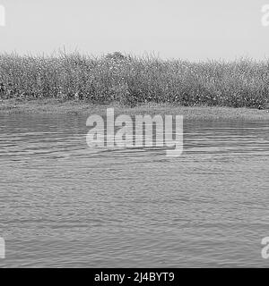 Vue sur la rivière Yamuna depuis le bateau dans la journée à Vrindavan, Krishna temple Kesi Ghat sur les rives de la rivière Yamuna dans la ville de Vrindavan, Boating a Banque D'Images