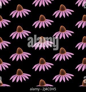 Echinacea conception florale isolée sur fond noir est dans le modèle sans couture - illustration vectorielle Illustration de Vecteur